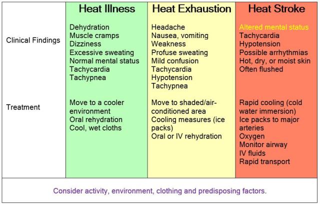 Heat Stress Image